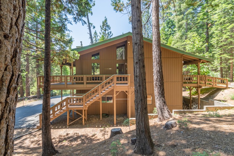 Welcome to Forest Haven!