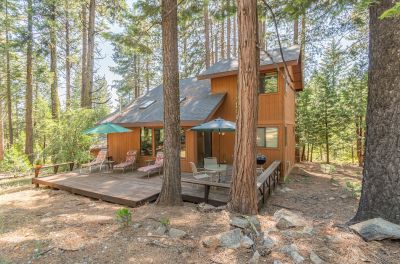 Pinetree Paradise