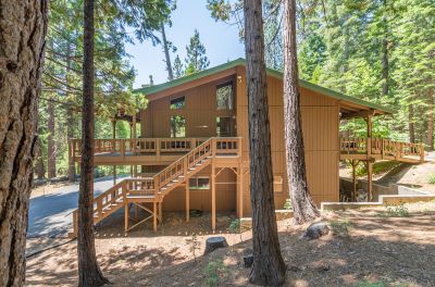 Forest Haven